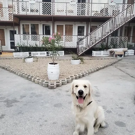 Apartment Conti Complex